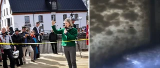 Efter 350 år – första aspen har passerat: "Äntligen!"