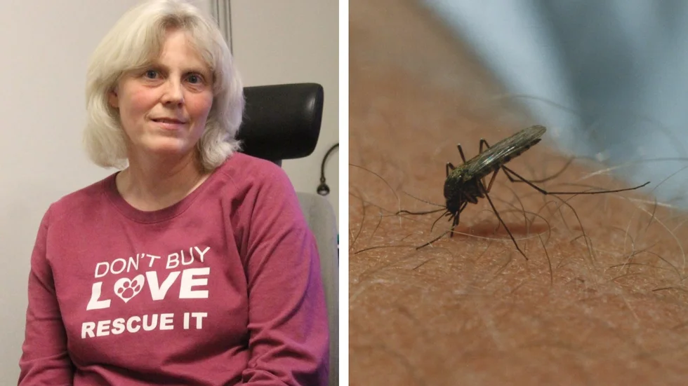 Martina Schäfer är bekämpningsledare på Biologisk myggkontroll, ett samarbete för myggbekämpning inom Nedre Dalälvens Utveckling AB.