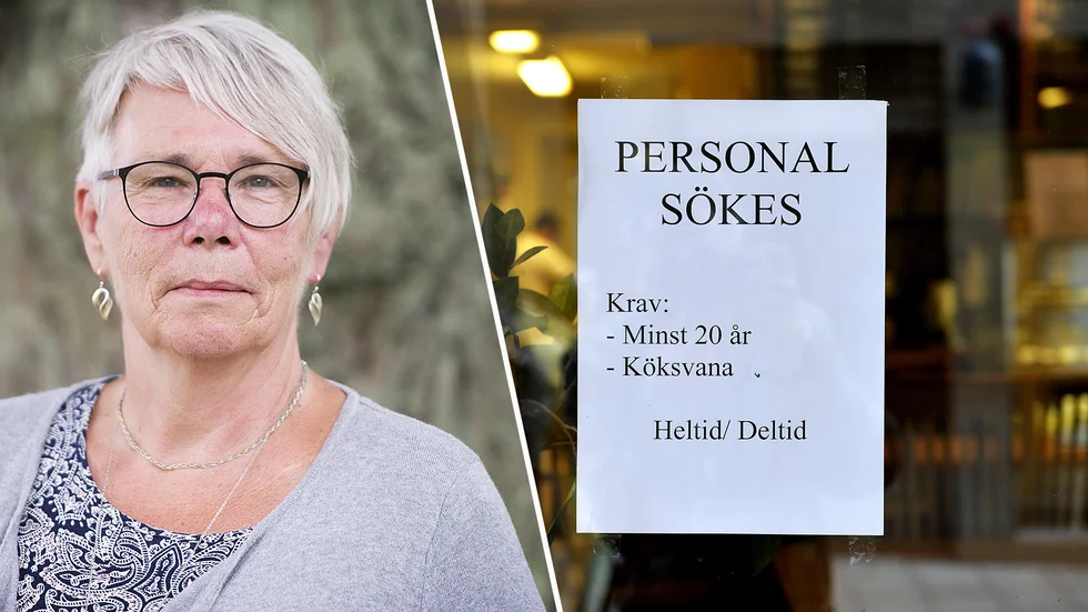 Monica Johansson (S) och Region Sörmland satsar på en ny form av arbetsförmedling.