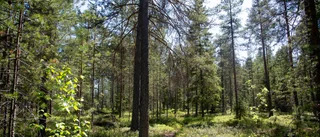 Förskola på Berget får planbesked