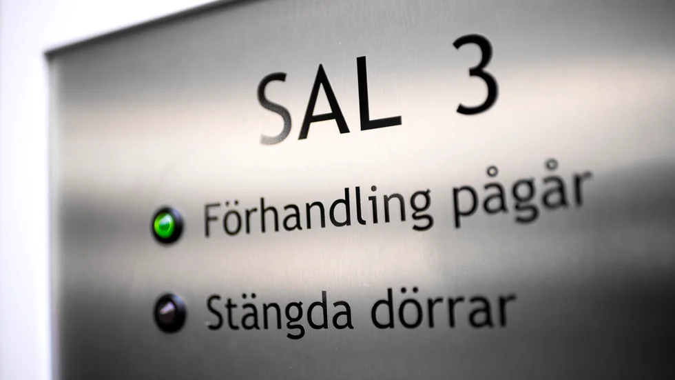 Socialsekreteraren fick berätta om sina upplevelser inför rätten på måndagen.