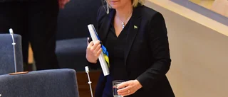 Raserade statsfinanser är ett billigt pris