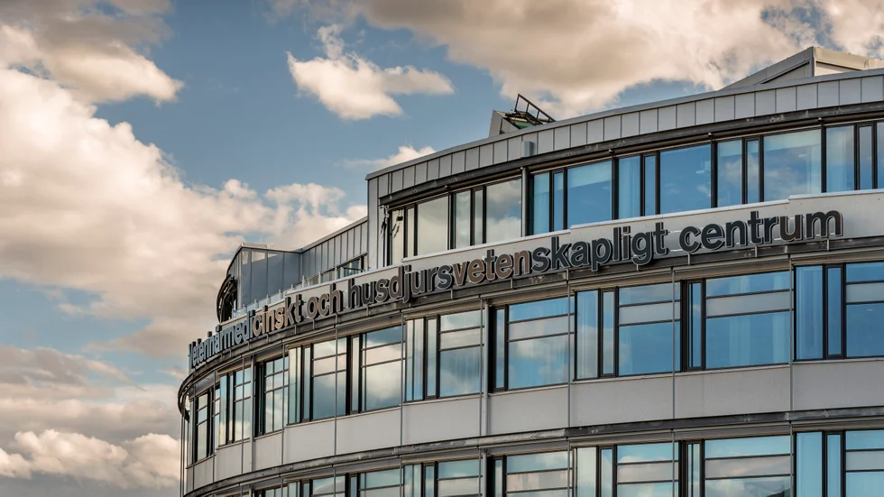 Veterinärmedicinskt och husdjursvetenskapligt centrum. SLU måste göra om utbildningen för att kunna ta emot den stora ökningen i antal studenter till veterinärs- och djurskötarutbildningarna.