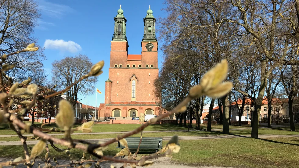 Våren är här, oavsett om det drar in kallare luft nästa vecka.