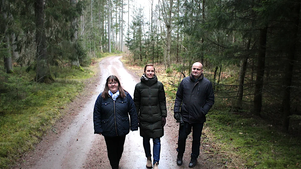 Här i skogen mellan Sjuningsfält och Bockarpsvägen kan Mjölbys nästa villaområde komma. Cecilia Burenby (S), Caroline Gyllemark och Ketil Kindestam inspekterar.
