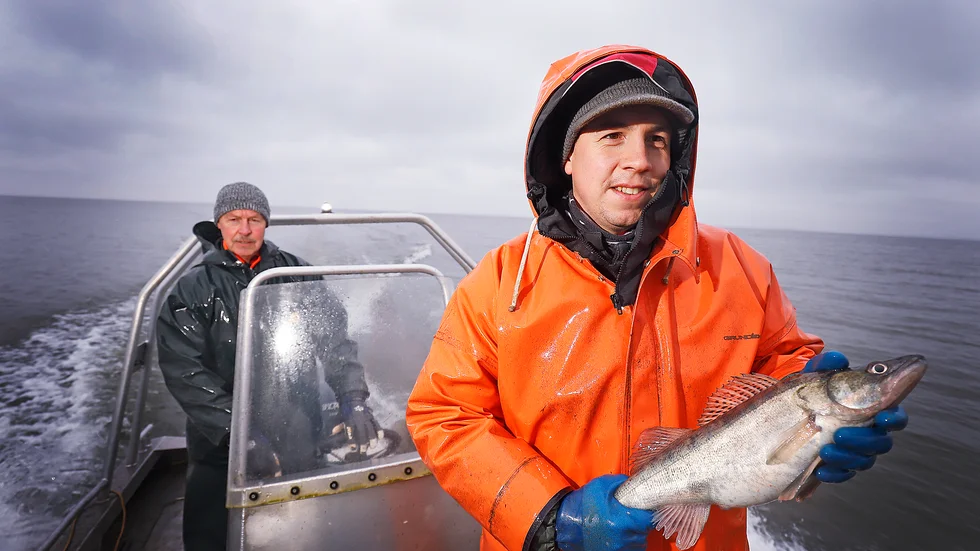 Förmiddagens fisketur på Hjälmaren är snart avklarad. Lennart Eriksson styr arbetsbåten mot Nackhälls trygga hamn medan sonen Martin, på fotografens uppmaning, poserar med en nyfångad gös.