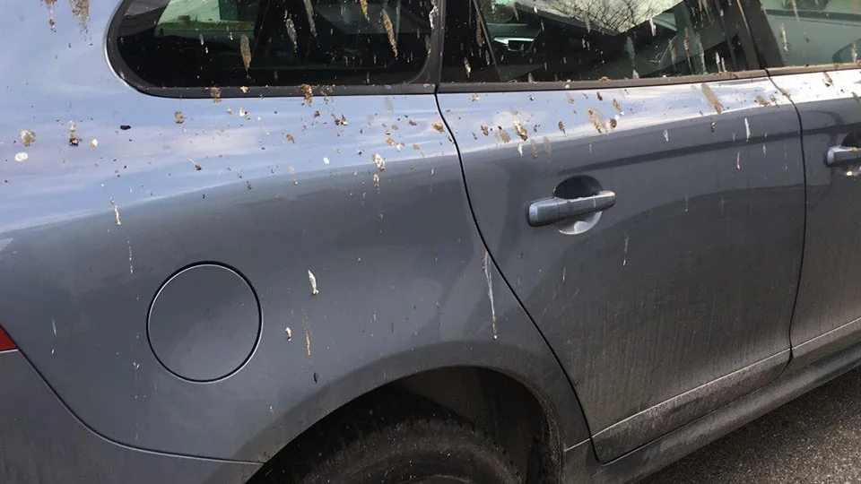Så här såg familjen Ronachs bil ut efter en dag på parkeringen bakom Safiren.