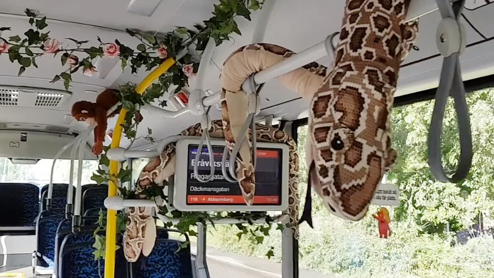 Så här ser du ut i djungelbussen!