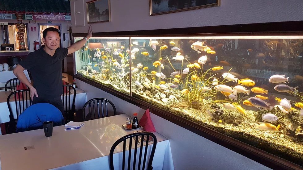 Francis Kuo och hans familj har drivit Waldorf i många år. Akvariet byggdes 1992 när restaurangen flyttade in i sina nuvarande lokaler. Akvariet, som är en hel vägg i restaurangen, är populärt bland barn som gärna vill äta vid fiskarna.