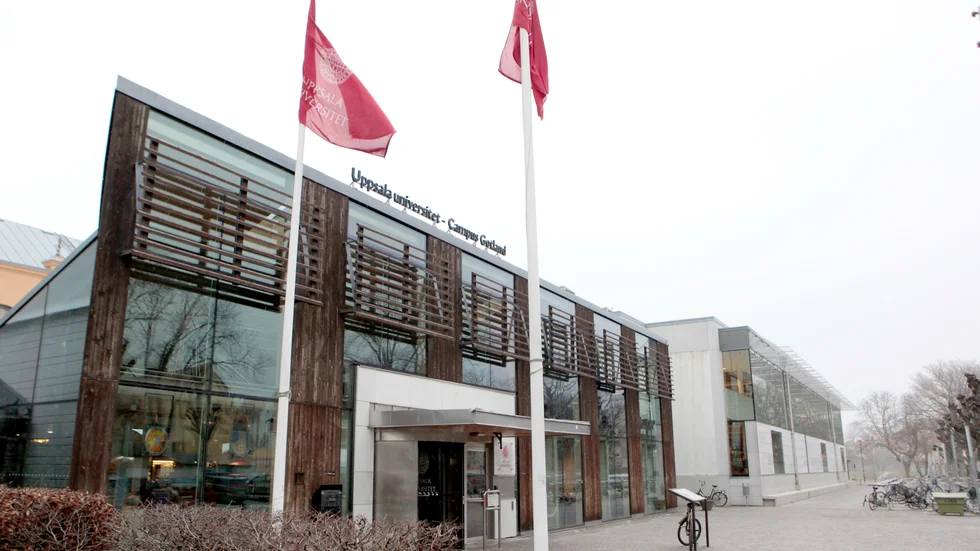 23 procent fler ansökningar jämfört med förra året har gjorts till Uppsala Universitet Campus Gotland.