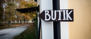 Så ska Gotland kunna vara öppet året runt