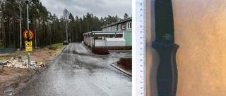 Mordåtalade pojken:"visste inte vem jag högg