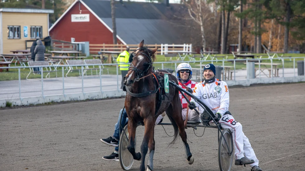 En champion som avslutade starkt. Claes Sjöström tog tre segrar under säsongens sista dag, här med Kalmarhästen Evoque.


