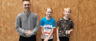 Fina framgångar för badmintonklubben