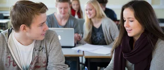 Gotland saknar forum för ungas inflytande