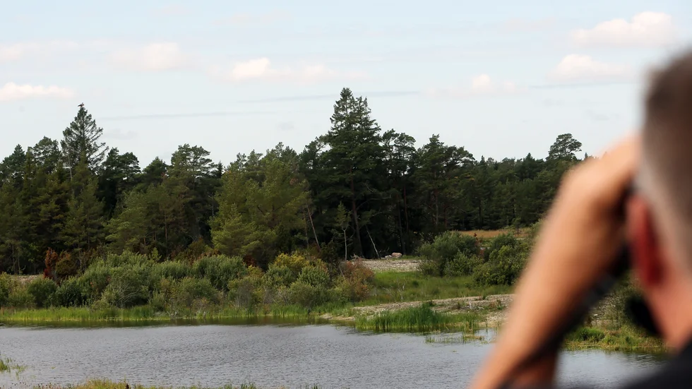 Nya våtmarker borde anläggas längs öns åar, det föreslår en medborgare i ett förslag till regionen. På bilden syns en våtmark i Anga.