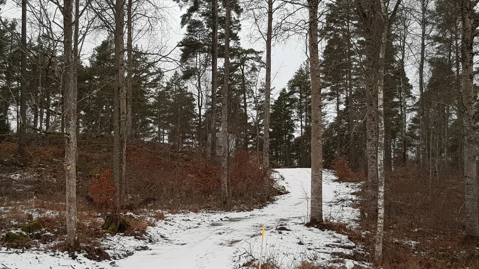 Relling (Jenny Helsing), Molvik (Gunnar Stafstedt) och Hedvig (Jasmine Jägervigg) bakom grosshandlare Werle (Åke Lindgren) och fru Sørby (Denice Frid).