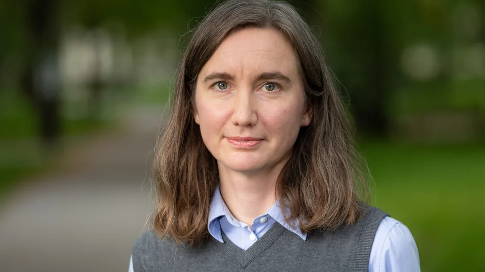 Paula Henrikson tilldelades 2015 det ”Schückska priset” av Svenska Akademien. Den gången låg prissumman på 100 000 kronor.