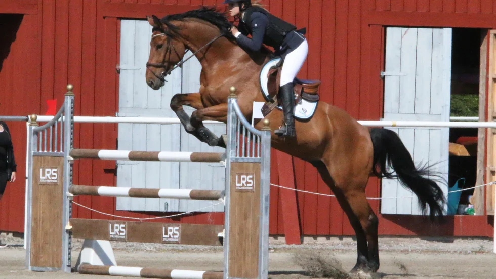 Fanny Blanck  och Luxor har ett bra 2020 att blicka fram emot.