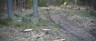 Fortsatt skönmålning kring integrationen