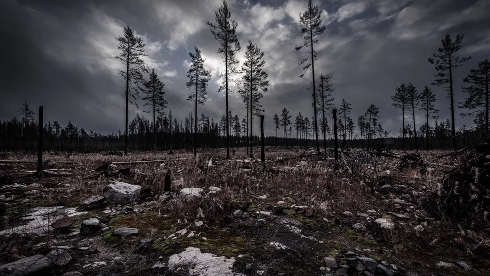 Enligt IPBES och IPCC krävs att vi omgående minskar trycket på naturen och skogen. Mer skog måste skyddas och vi måste genomföra omfattande systemförändringar i vårt sätt att förvalta och bruka skogen.