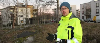 Här byggs park för småkryp och barn