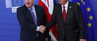 Vi behöver förbereda oss för brexit