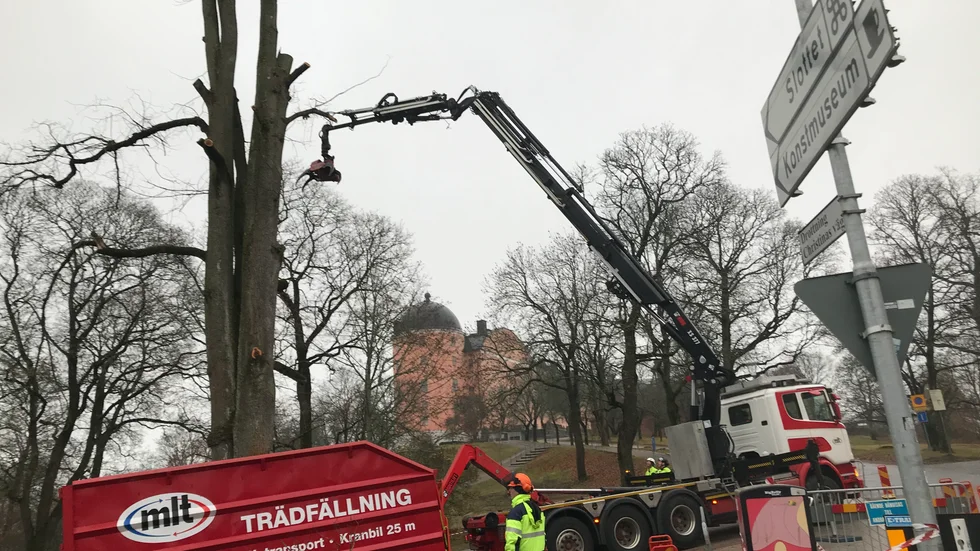 Insändarskribenten instämmer i kritiken om olämpligheten med att härbärget blir granne med grundskolan, hotellet.