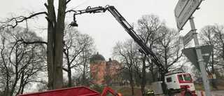 Fel placering av härbärget      