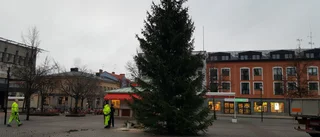 Nu är granen på plats på Stora torget