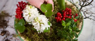 Låt julblommorna grönska längre