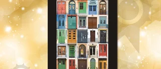 Doors of Uppsala (30 x 40 cm) 