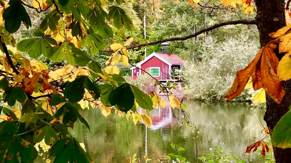 Höst vid Brostugan.