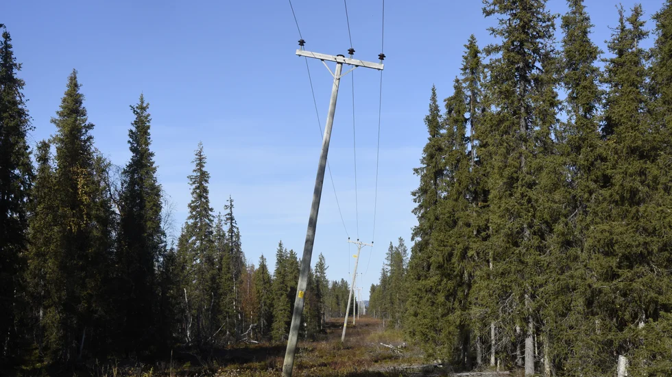 Flera av el-stolparna lutar. "I vinter kommer dom att falla ner om inget görs" säger Kjell-Erik Tuolja, Tarfeluokta. 