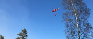 Bröt mot eldningsförbud – orsakade skogsbrand