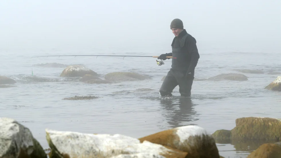 Naturskyddsföreningen tycker att fisket längs Ekstakusten är ett stort problem, men regeringen tar inte upp klagomålet.