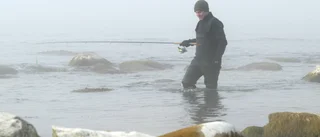 Naturskyddsföreningen fick inte klaga