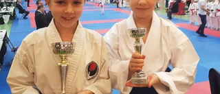 Plockade totalt hem tio medaljer