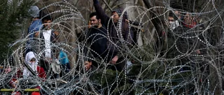 Det finns flera gränser för EU att hålla på 