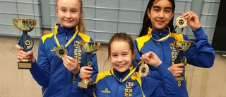 Dubbla guld och silver till Karate Dojo