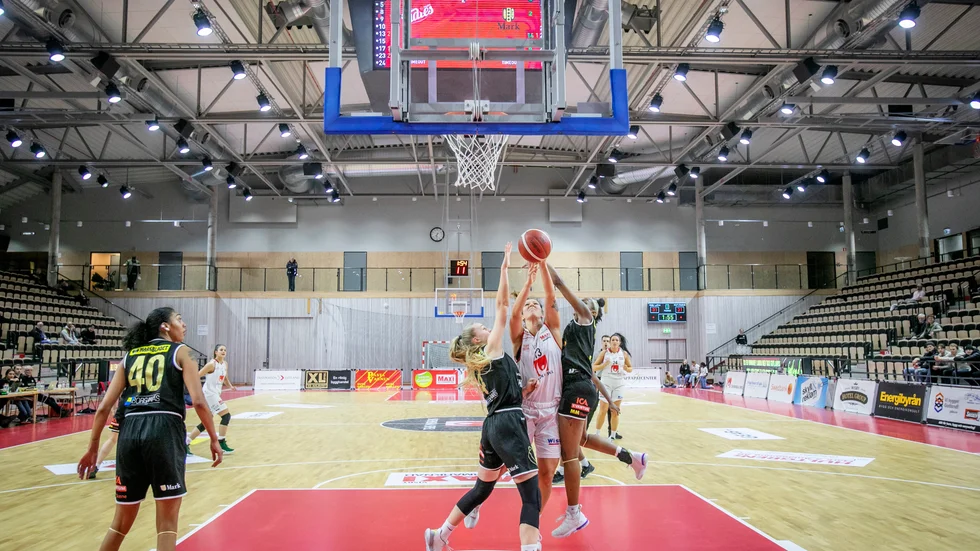 I Visby Ladies är elva av tolv spelare hitflyttade för idrotten.