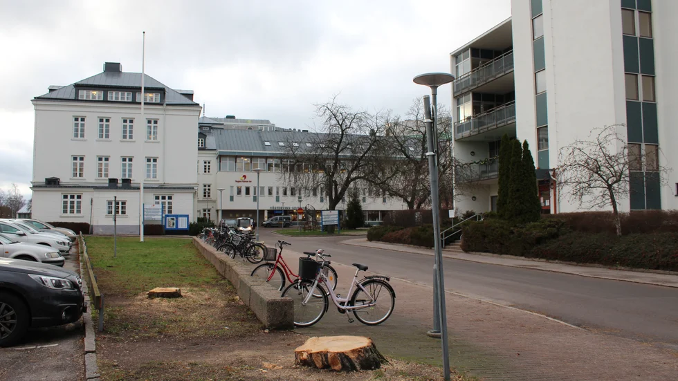 Två träd vid Västerviks sjukhus har sågats ner.
