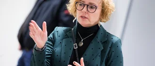 Arjeplogs kommunalråd avgår efter 10 år